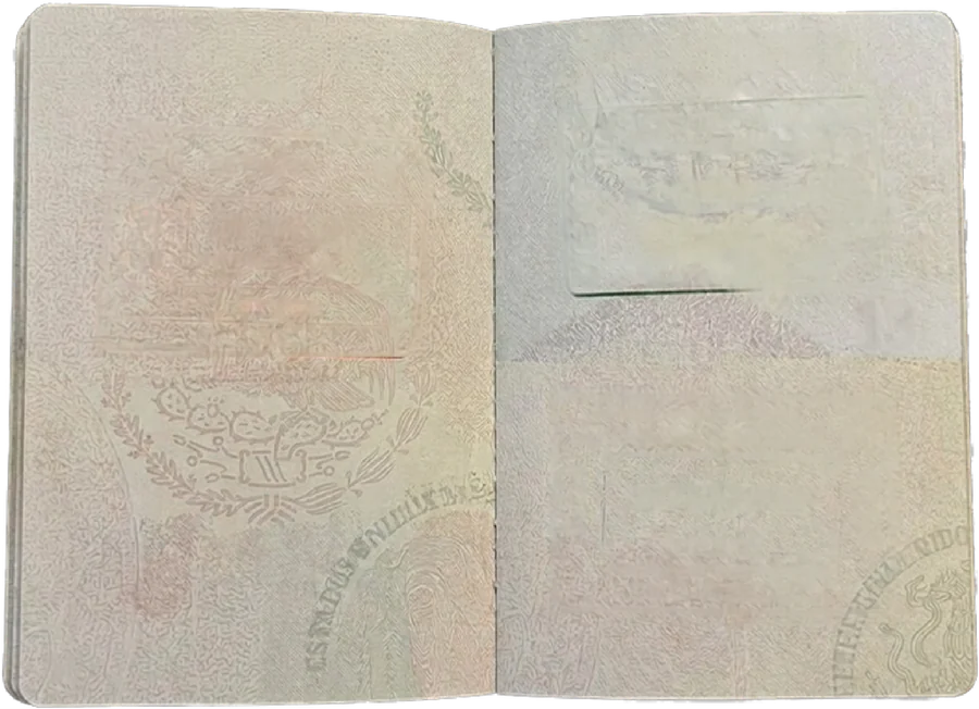 Pasaporte con sellos de México, España y Argentina